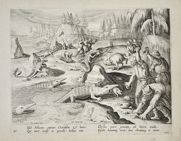 Johannes Stradanus (1523–1605) – View of a Crocodile Hunt – Engraving (1596)