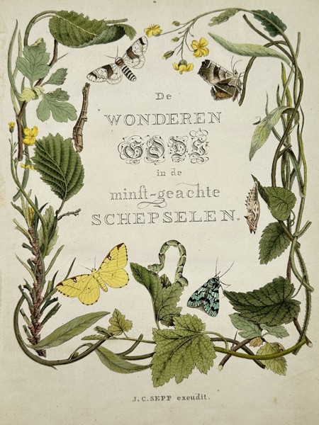 Jan Christiaan Sepp (1739–1811) – View of the Title Page for Wonders of God – Hand-coloured etching (1762)