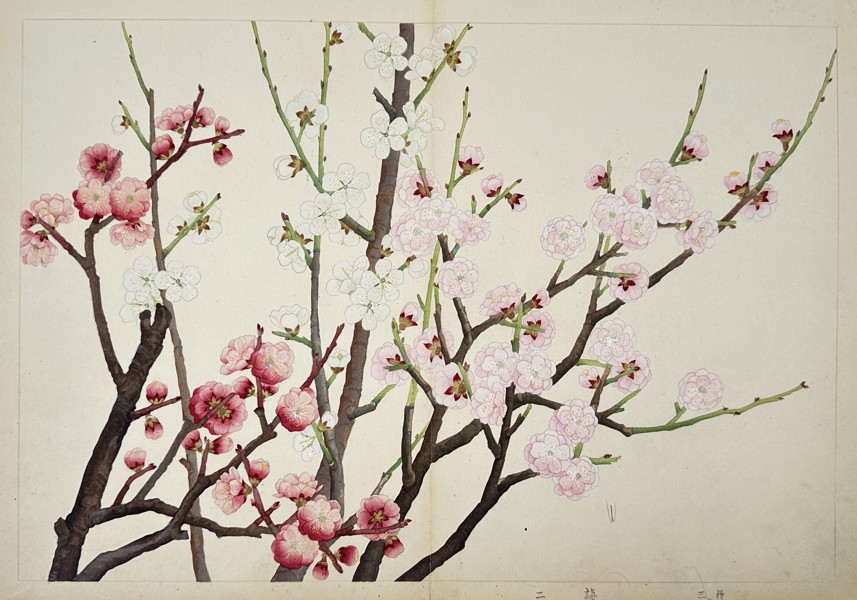 Tanigami Konan (1879–1928) – View of Plum Blossoms (Ume) – Woodblock print (1923)