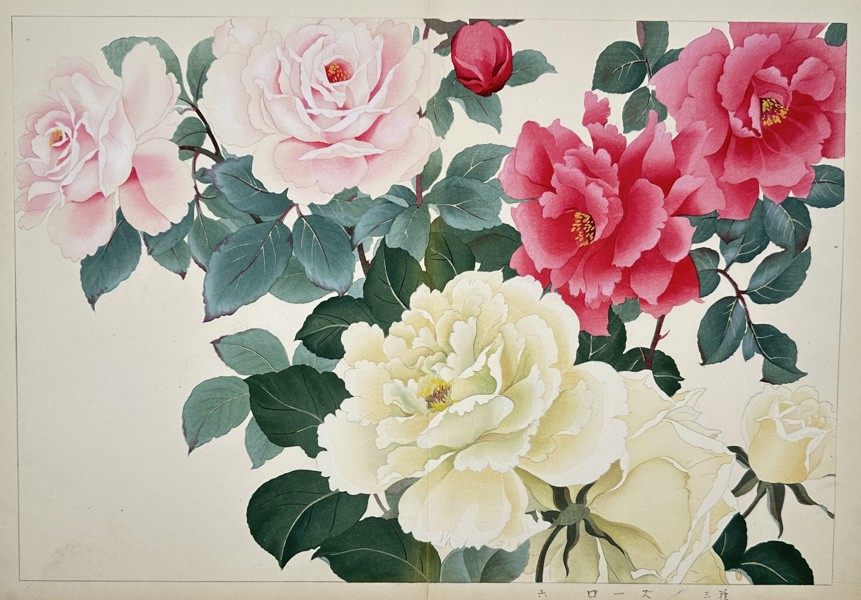 Tanigami Konan (1879–1928) – View of Roses – Woodblock print (1923)