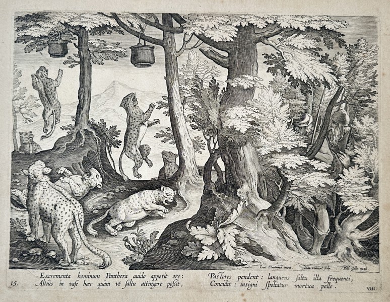 Jan van der Straet (1523–1605) – Hunting Panthers with Human Excrement – Engraving (1596)