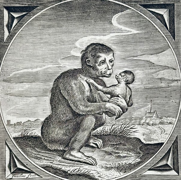 Jacob Cats (1577–1660) – Emblem of the Ape and her Young – Engraving (1627)