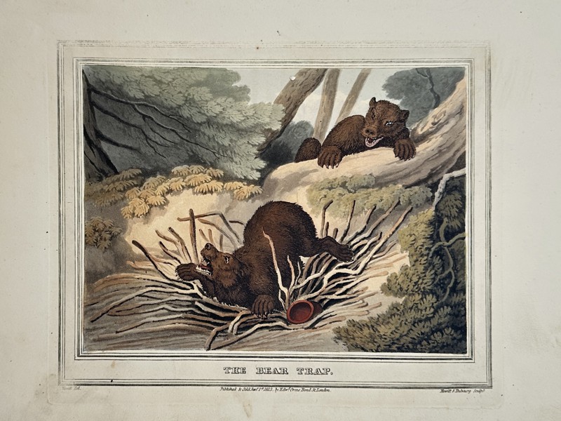 Edward Orme (1775–1848) – The Bear Trap – Etching (Hand-coloured) (1807)