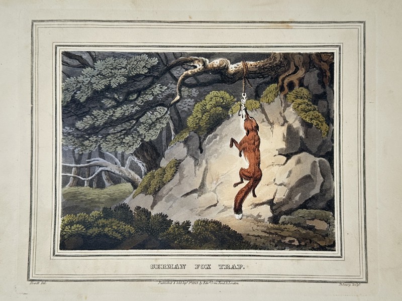 Edward Orme (1775–1848) – German Fox Trap – Etching (Hand-coloured) (1807)