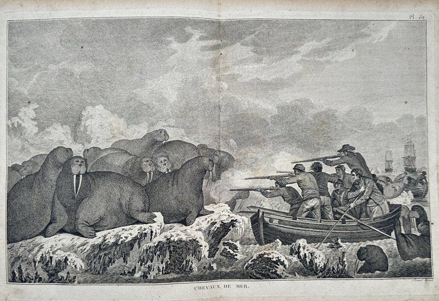 John Webber (1751–1793) – View of Hunting Walruses in the Arctic – Engraving (1785)