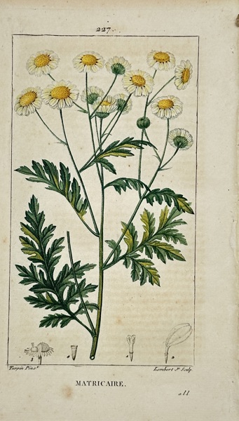 Pierre Jean François Turpin (1775–1840) – View of Matricaire – Hand-coloured engraving (1806)