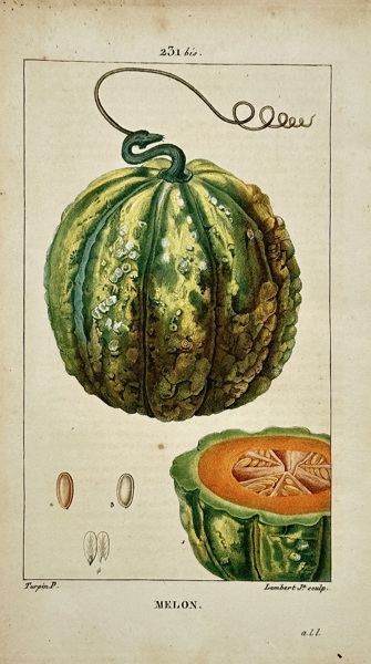 Pierre Jean François Turpin (1775–1840) – View of Melon – Hand-coloured engraving (1806)