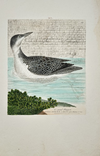 François-Nicolas Martinet (1731–1800) – View of Le Grand Plongeon – Hand-coloured engraving (1780)