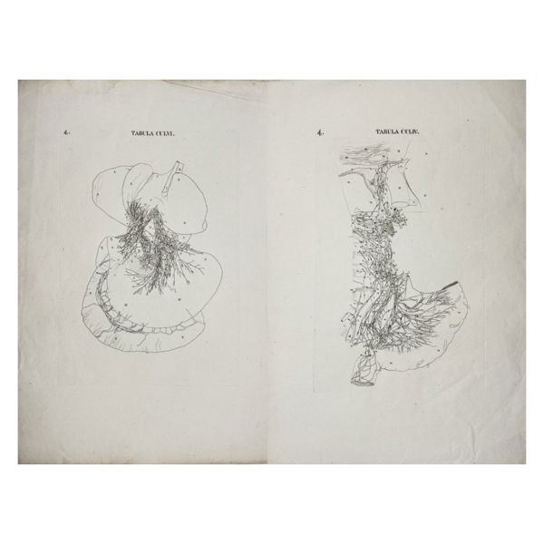 Antonio Caldani (1725-1813) - Set of 2 Anatomical Engravings - Nerves of the Liver, Gall Bladder, Pancreas and Stomach, Aorta Addominale Con Vasi Collaterali