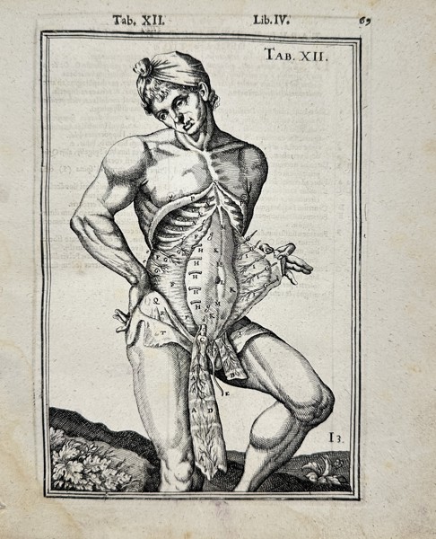 Adriaan van den Spiegel & Giulio Casseri - Human Anatomy - ”De humani corporis fabrica liber decem, tabulis..."