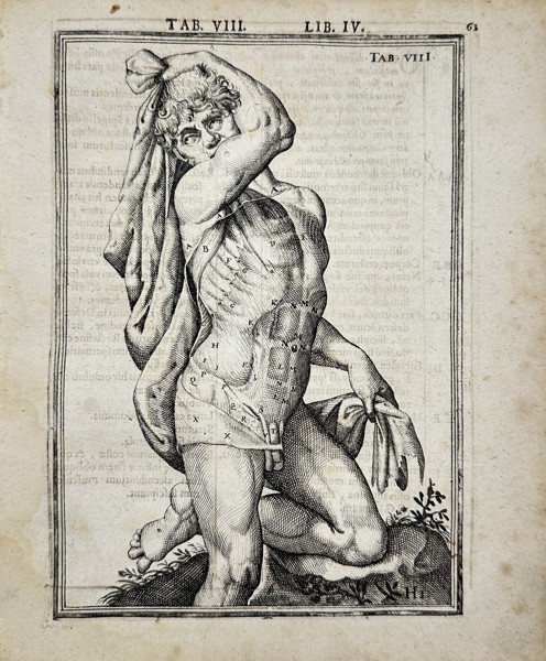 Adriaan van den Spiegel & Giulio Casseri - Human Anatomy - ”De humani corporis fabrica liber decem, tabulis..."