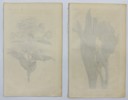 John Curtis - Set of 2 Engravings - Prostanthera Lasianthos, Coranderrk - Iris Neglecta, Iris Germanica 