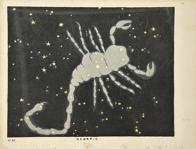 Charles Blunt (1803–1878) – Scorpio – Hand-Coloured Aquatint Engraving (1842)