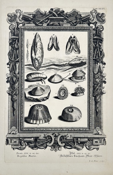 Johann Georg Penz (1685–1749) after Johann Jakob Scheuchzer (1672–1733) – Reptilia Maris – Copperplate Engraving from Physica Sacra (c.1731–1735)