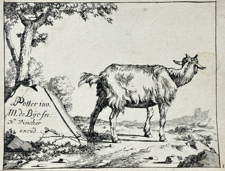 Paulus Potter (1625–1654) – Standing Goat Seen from Behind – Engraving by Marcus de Bye, from the Series Goats and Bucks – Published by Nicolaes Visscher I (17th Century)