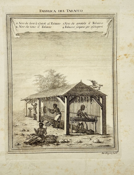 Antonio Gregori (active 18th century) – Tobacco Production by Enslaved Workers – Fabbrica del Tabacco – Copperplate Engraving (18th Century)