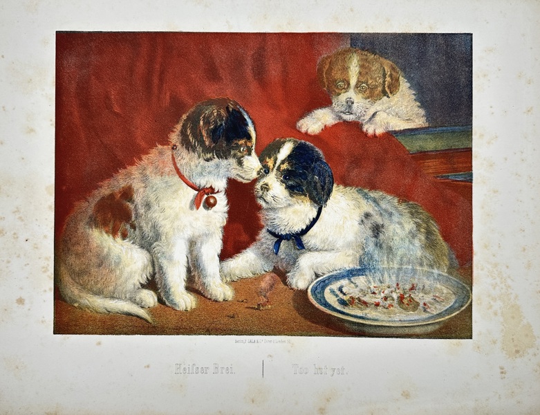Julius A. Löw (1825–1902) – Heißer Brei / Too hot yet – Hand-Coloured Chromolithograph of Puppies (Late 19th Century)