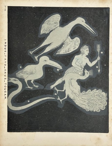 Charles F. Blunt - Lithograph from The Beauty of the Heavens - Indus, Pavo, Grus, Toucan – 1849