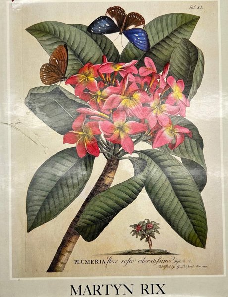  Martyn Rix (b. 1950) – Art of the Botanist – Botanical Illustration and Scientific Observation (1981)