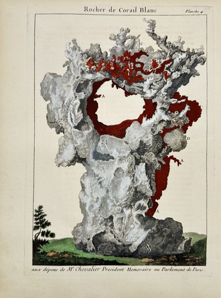 Pierre-Quentin Chedel after François Boucher – Hand-coloured Engraving – Conchology / Shell – Oursins ou Boutons deMer – Sea Urchins or Sea Buttons (1742)