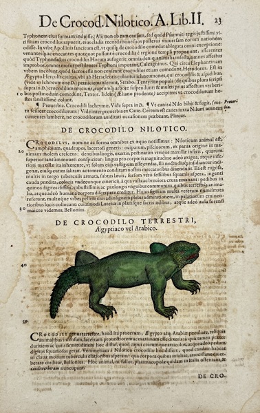 Sebastian Münster (1488–1552)  – Terrestrial Crocodile / De Crocodilo Terrestri – Woodcut from Cosmographia Universalis (16th century)