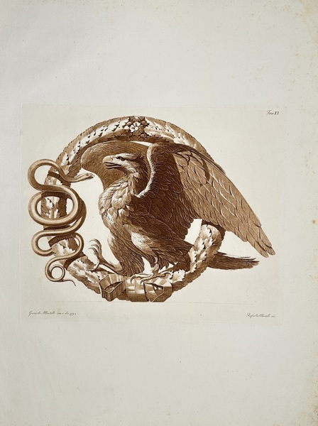 Raffaele Albertolli (1770–1812) – Large Antique Aquatint - Eagle and Snake on a Laurel Wreath (1796)