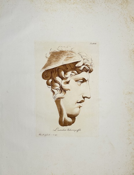 Raffaele Albertolli (1770–1812) – Head of the Medusa - L'antecedente Medusa in proffilo / The antecedent Medusa in profilo (1796)