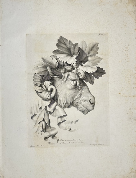 Giocondo Albertolli (1743–1839) & Michelangelo Mercoli (active c. 1790s) – Study of a Ram’s Head – Study based on bronze sculptures by Benvenuto Cellini, Florentine (1796)