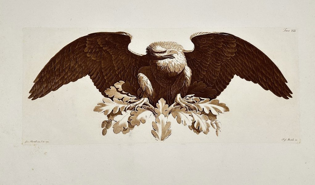Giocondo Albertolli (1742–1839) - Large Aquatint - Eagle with outstretched wings resting on an oak leaf cluster