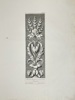 Giocondo Albertolli (1742–1839), Giacomo Mercoli – Ornamental Floral Motif – Large Engraving from Ornamenti Diversi (Milan, 1778–82)
