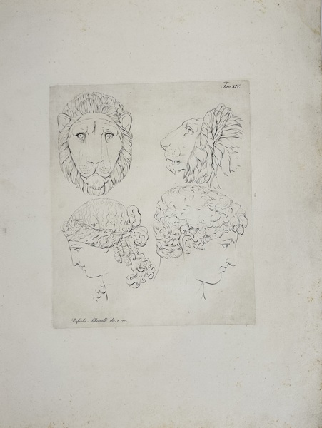 Rafaelo Albertolli (1746–1812) – Study of Lion and Human Heads – Large Engraving (Late 18th Century)