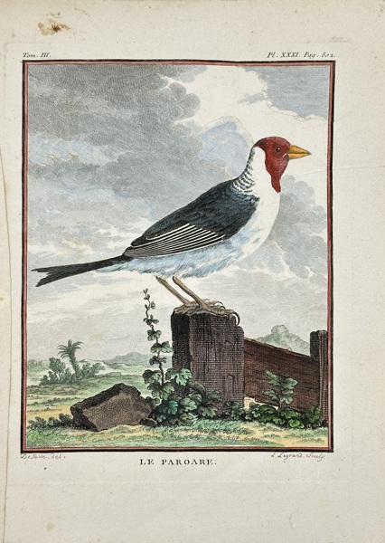 Jacques Eustache de Sève (1742–1788) – Le Paroare – Hand-Colored Engraving (1766)