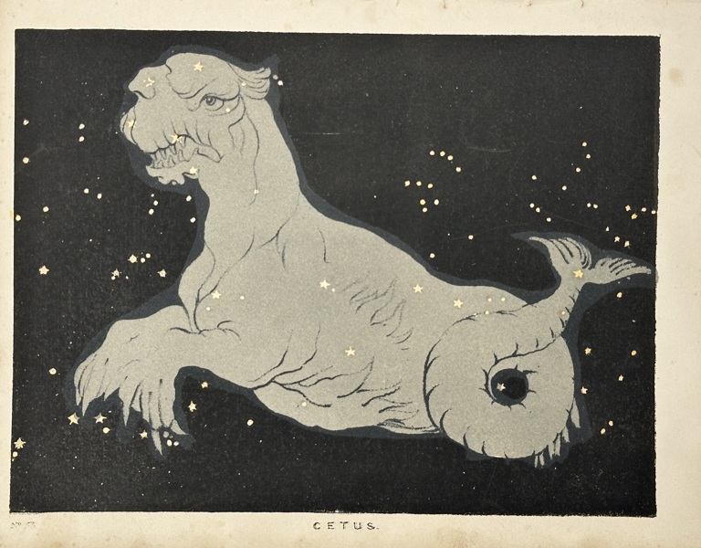 Charles Blunt (1803–1878) – Cetus – Hand-Coloured Aquatint Engraving (19th Century)