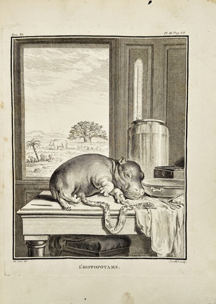 Jacques Eustache de Sève (1742–1788) – L’Hippopotame / The Hippopotamus – Copperplate Engraving (Late 18th Century)