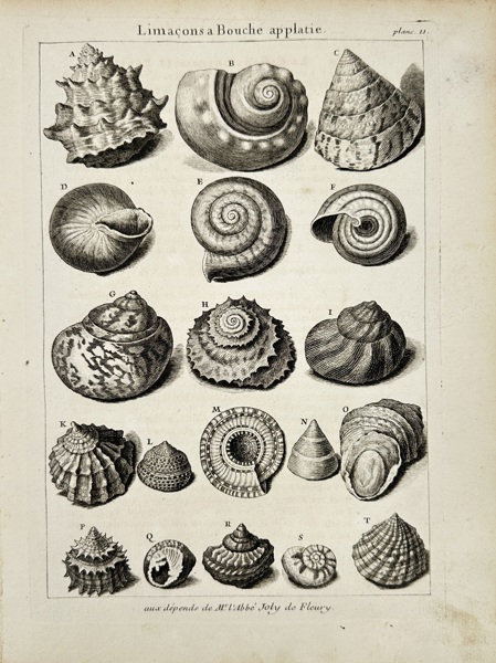 Antoine-Joseph Dézallier d'Argenville (1680–1765) – Limaçons à Bouche Applatie – Copperplate Engraving (circa 1742)