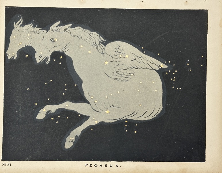 Charles Blunt – Pegasus – Chromolithograph (c.1840)
