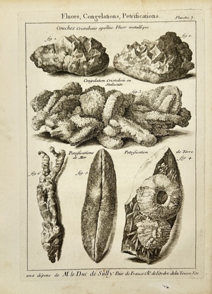 Quentin Pierre Chedel  after François Boucher – Fluors, Crystallizations, and Petrifications – Copperplate Engraving from L’Histoire naturelle éclaircie... by Antoine-Joseph Dézallier d’Argenville 