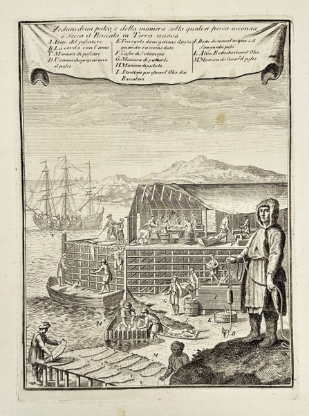 Pieter van der Aa (1659–1733)  – Drying and Preparing Codfish in Newfoundland – Engraving (Early 18th Century)