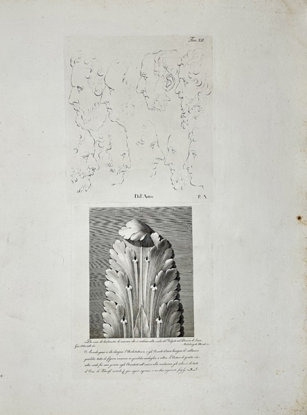 Giovanni Albertolli (1742–1839) – "Tab. XII – Architectural Study of Baluster and Ornamentation" – Engraving (Late 18th Century)
