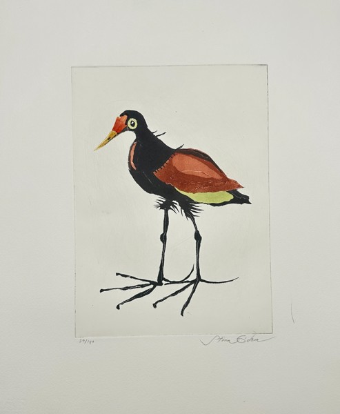 Stina Eidem (b. 1942) – Aquatint Engraving – Jacana – Hand-signed 29/180 (Late 20th Century)