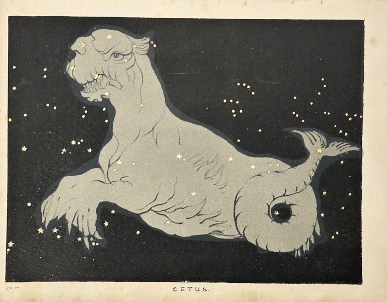 Charles Blunt (1803–1878) – Cetus – Hand-Coloured Aquatint Engraving (19th Century)
