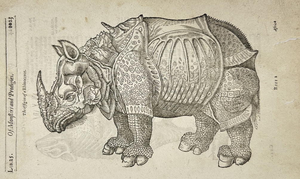 Conrad Gesner (1516–1565), after Albrecht Dürer (1471–1528) – The Rhinoceros – Woodcut Engraving (1560, after 1515)