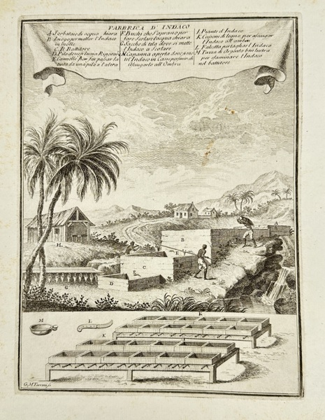 Giovanni Maria Cassini (1745–1824) – Fabbrica d’Indaco – Copperplate Engraving from Il Gazettiere Americano (1763)