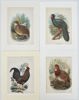 Walter Swaysland - Set of 4 Lithographs - Long-legged Colin, Grey Jungle Fowl, Chestnut-breasted Par