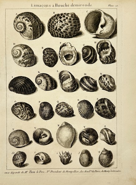 Quentin Pierre Chedel after François Boucher – Limaçons à Bouche demironde - Copperplate Engraving (1742)