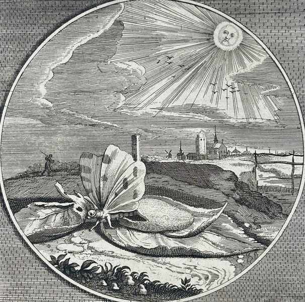 Jacob Cats (1577–1660), Adriaen Pietersz. van de Venne (1589–1662), Jan Swelinck – The Butterfly in the Sun / Amor elegantiae pater – Engraving (17th Century)