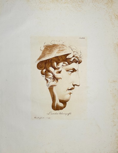 Raffaele Albertolli (1770–1812) – Head of the Medusa - L'antecedente Medusa in proffilo - (1796)