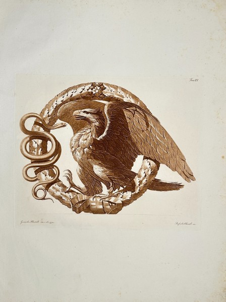 Raffaele Albertolli (1770–1812) – Eagle and Snake on a Laurel Wreath - Large Antique Aquatint - (1796)