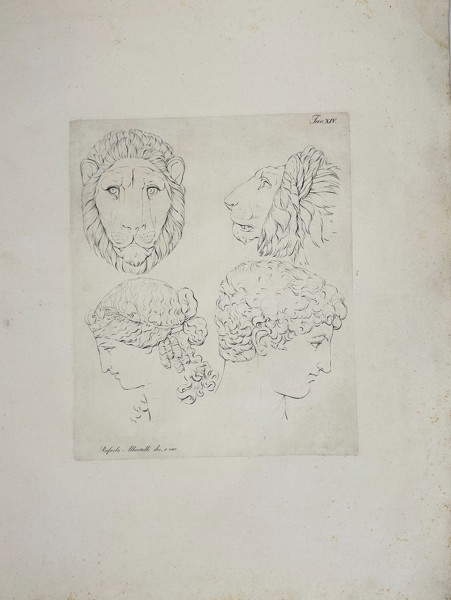 Raffaele Albertolli (1770–1812) – Study of Lion and Human Heads - Large Antique Aquatint - (1796)