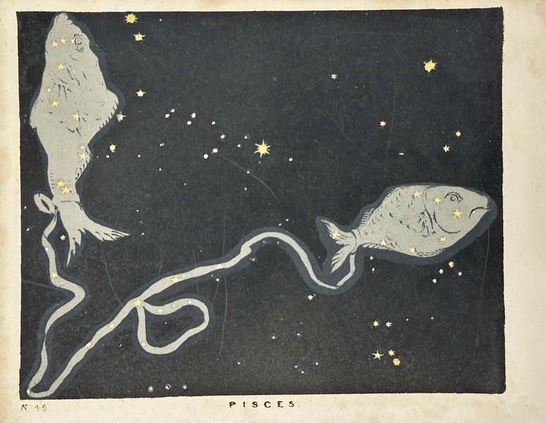 Charles Blunt (1803–1878) – Pisces – Hand-Coloured Lithograph (c.1820s)